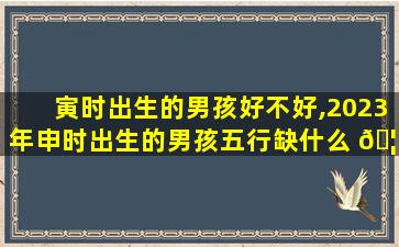 寅时出生的男孩好不好,2023年申时出生的男孩五行缺什么 🦅
